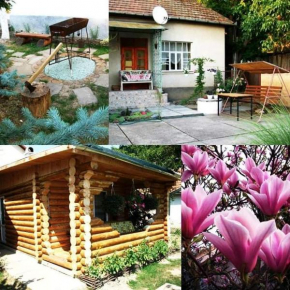 Hotels in Yanoshi